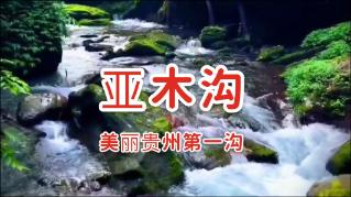 2024春节山东乡村文化旅游节济宁活动启动